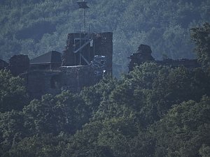 Natur pur bei am Neustädter Rosenteich