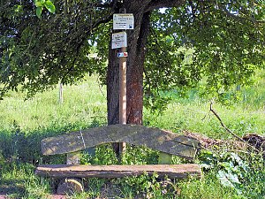 Natur pur bei am Neustädter Rosenteich