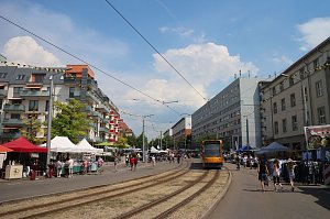 50. Nordh&auml;user Rolandsfest - der Samstagnachmittag