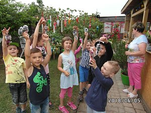Ein Tag im Schrebergarten