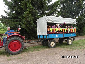 Ein Tag im Schrebergarten