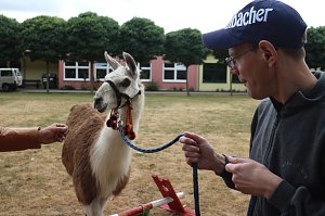 Sommerfest der Lebenshilfe 2018