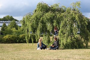 Sommerfest des S&uuml;dharzklinikums
