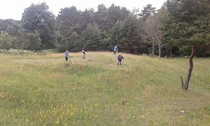Gegen das Insektensterben