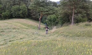 Gegen das Insektensterben