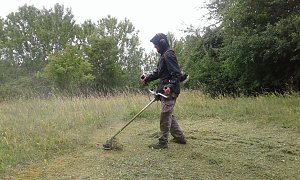 Gegen das Insektensterben