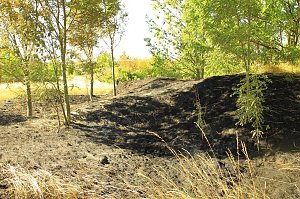 Böschungsbrand in Kleinfurra