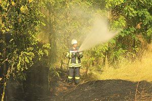 Böschungsbrand in Kleinfurra