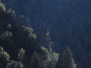 Fotografischer Abstecher nach Thale