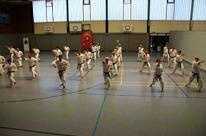 Vor den Sommerferien standen beim Karate-Do-Kwai noch Lehrg&auml;nge und Pr&uuml;fungen an