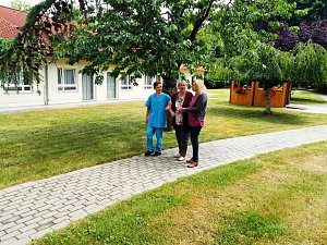 Der Juni im Sonnenhof