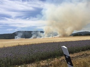 Feldbrand zwischen Gro&szlig;- und Kleinfurra