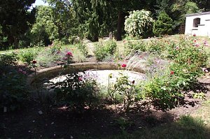 Noch gr&uuml;nt es im Park Hohenrode