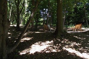 Noch gr&uuml;nt es im Park Hohenrode