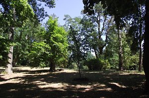 Noch gr&uuml;nt es im Park Hohenrode