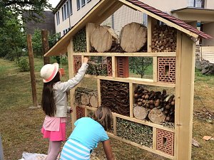 Füllmaterial für Insektenhotel wird zugeschnitten und eingebracht