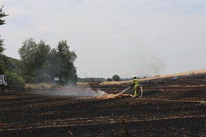 Abgebranntes Feld bei Niedersachswerfen