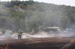 Abgebranntes Feld bei Niedersachswerfen