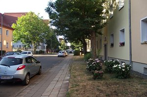  Optisch eine Aufwertung, wirkungsvoll gegen Hitze: Hardenbergstra&szlig;e.