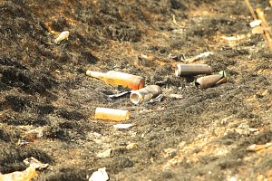 Fl&auml;chenbrand bei Gro&szlig;wechsungen