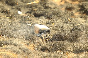 Fl&auml;chenbrand bei Gro&szlig;wechsungen