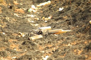 Fl&auml;chenbrand bei Gro&szlig;wechsungen