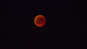 Blutmond über dem Südharz