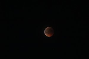 Blutmond über dem Südharz