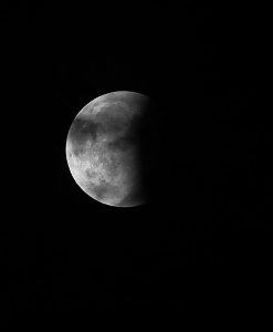 Blutmond über dem Südharz