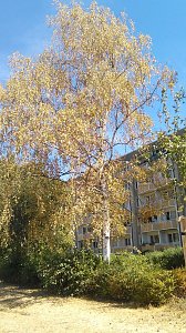 Sommer 2018