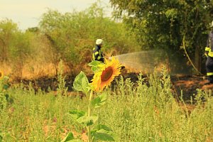 Flächenbrand zwischen Groß- und Kleinfurra