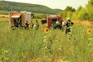 Flächenbrand zwischen Groß- und Kleinfurra