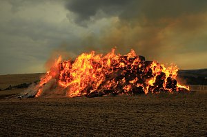 Fast 500 Strohballen brennen bei Auleben