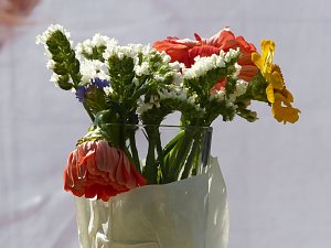 Das 24. Altstadtfest ist er&ouml;ffnet
