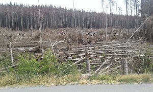 12. Harz-Hunderter Extrem &uuml;ber 147 km