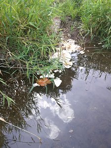 Die Zorge als M&uuml;llkippe und Toilette