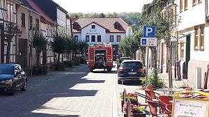 Kameradinnen und Kameraden der Freiwilligen Feuerwehr Neustadt/Osterode bewässerten erneut Bäume und Sträucher