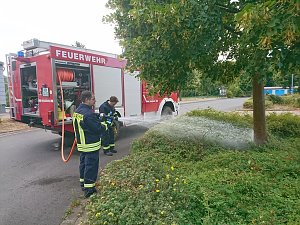 Kameradinnen und Kameraden der Freiwilligen Feuerwehr Neustadt/Osterode bewässerten erneut Bäume und Sträucher