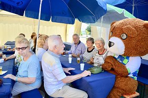 WBG Fest Harztor