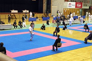 Einmal Japan und zurück