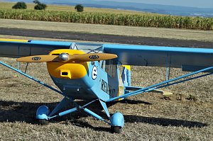 21. Modellflugtag