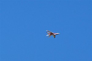 21. Modellflugtag