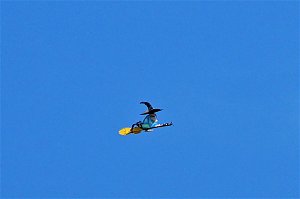 21. Modellflugtag