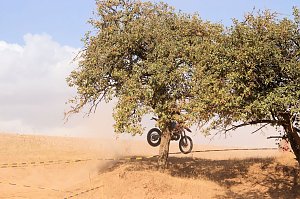 Fliegende Maschinen am Weinberg