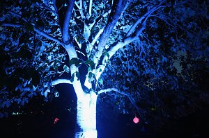 15. Lichterfest auf dem Petersberg