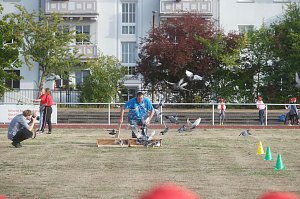 Grundschultag auf dem Hohekreuz-Sportplatz