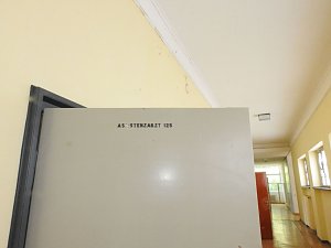 "Freie Feldanlage Harzgerode"