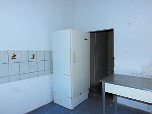 Erst Nazis, dann die SED