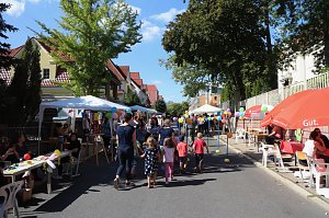 Stra&szlig;enfest der pro vita Akademie
