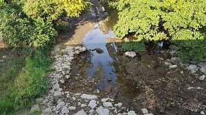 Das flie&szlig;t kaum noch Wasser - die Zorge entlang der Uferstra&szlig;e in Nordhausen